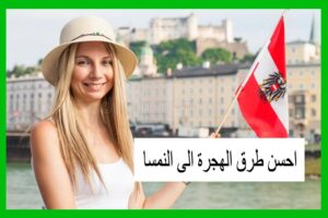 الهجرة إلى النمسا للعمل أو الدراسة 9 how to immigrate to austria copy