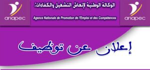 الأنابيك: تشغيل 250 منصب في عدة تخصصات 2 anapec12