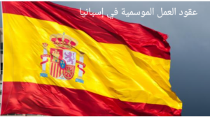 عقود العمل الموسمية في إسبانيا 2024-2025 5 IMG 20241111 185755