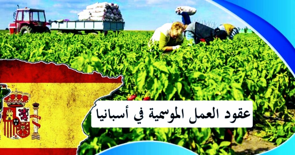عقود العمل الموسمية في إسبانيسا 1368x7202 1