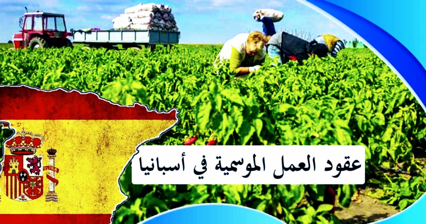 عقود العمل الموسمية في إسبانيسا 1368x7202 1